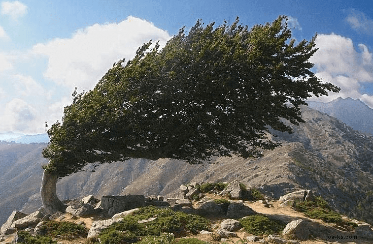 Bend but dont break jsdesai