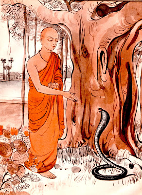 Monk and cobra bedtime stories jsdesai